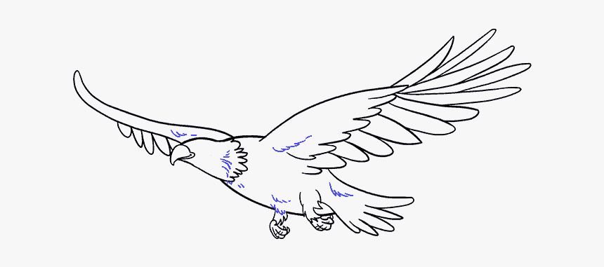 How To Draw Eagle - Draw A Flying Eagle, HD Png Download, Free Download