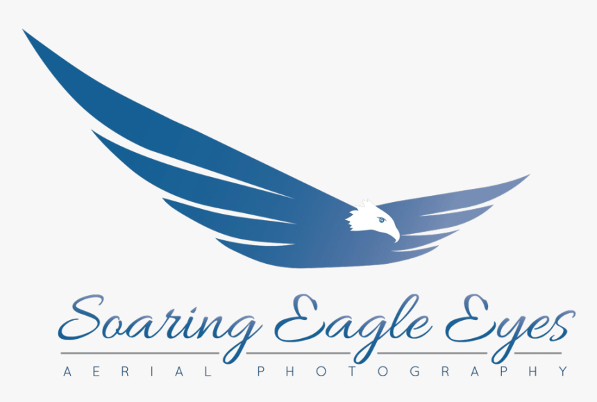 Soaring Eagle Eyes - Calligraphy, HD Png Download, Free Download