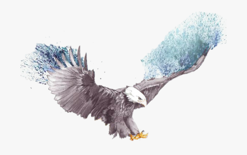 Flying Eagle Eagle Sketch , Png Download - Transparent Eagle Flying Png, Png Download, Free Download