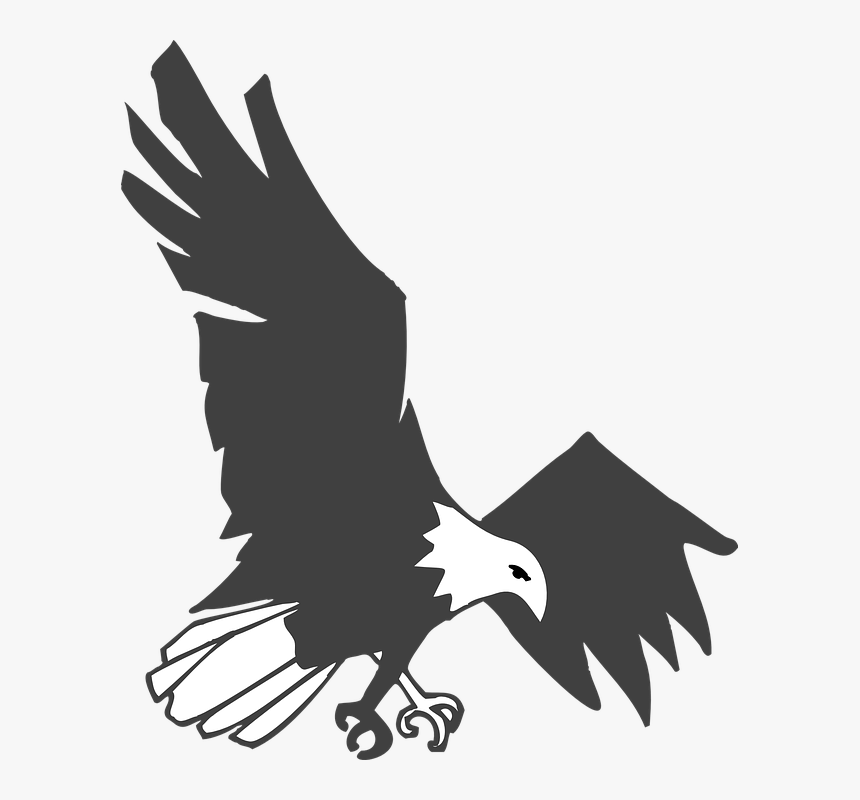 Eagle, Black, White, Bird, Flying, Landing, Stretching - Black And White Flying Eagle Clipart, HD Png Download, Free Download