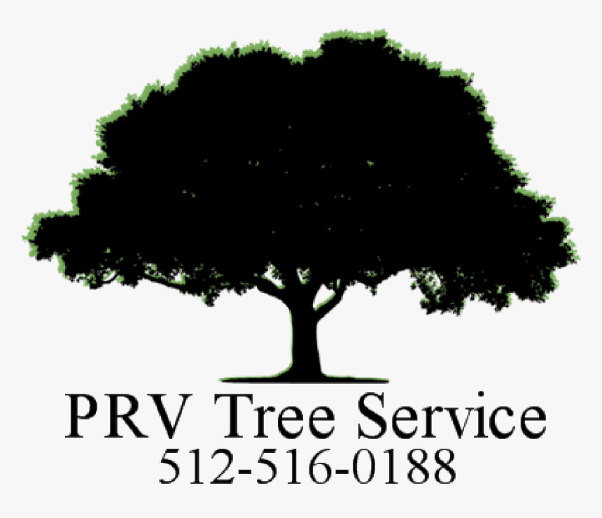 Silhouette Tree Vector Png, Transparent Png, Free Download