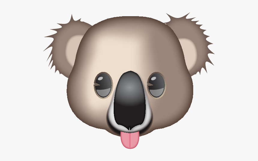 Koala, HD Png Download, Free Download