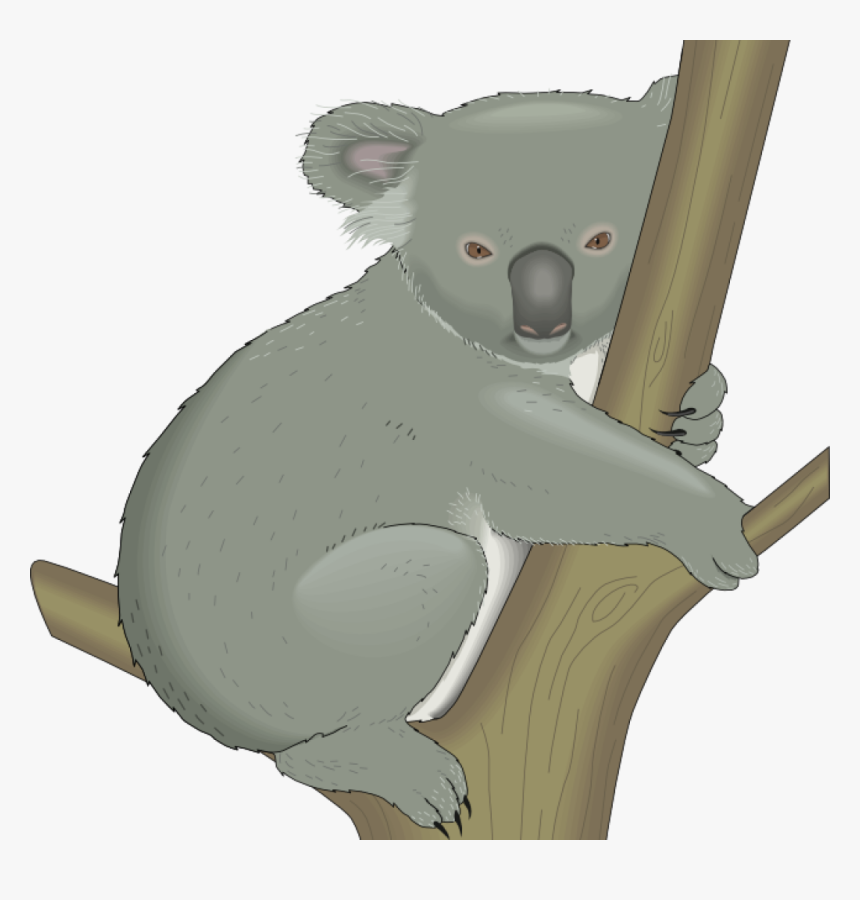 Koala Clipart Grey - Koala Clip Art, HD Png Download, Free Download