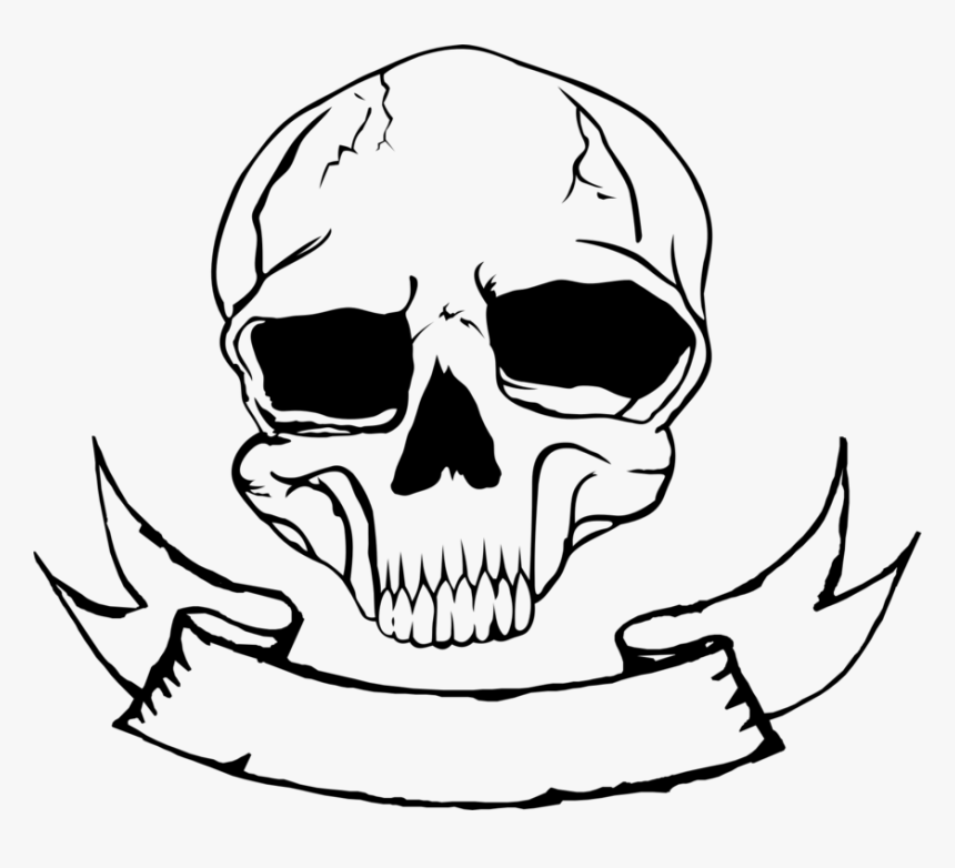 Skull Nose Human Skeleton Bone Free Commercial Clipart - Skull Nose Drawings, HD Png Download, Free Download