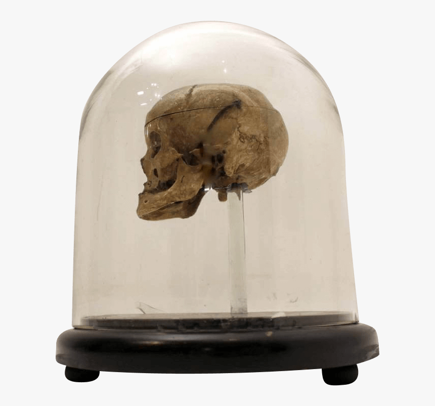 18th Century Human Skull In A Victorian Glass Dome - Skull, HD Png Download, Free Download