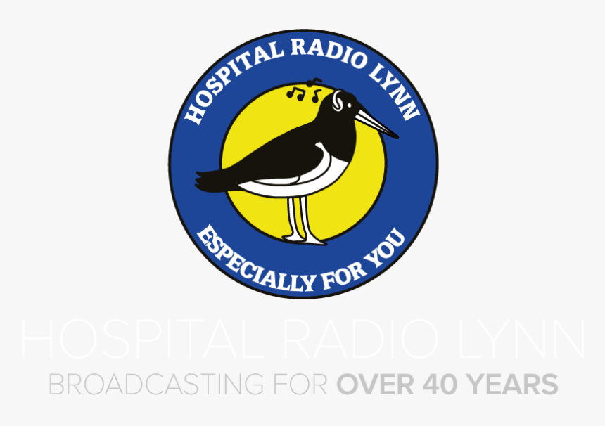 Hospital Radio Lynn - Skate Park Of Tampa, HD Png Download, Free Download