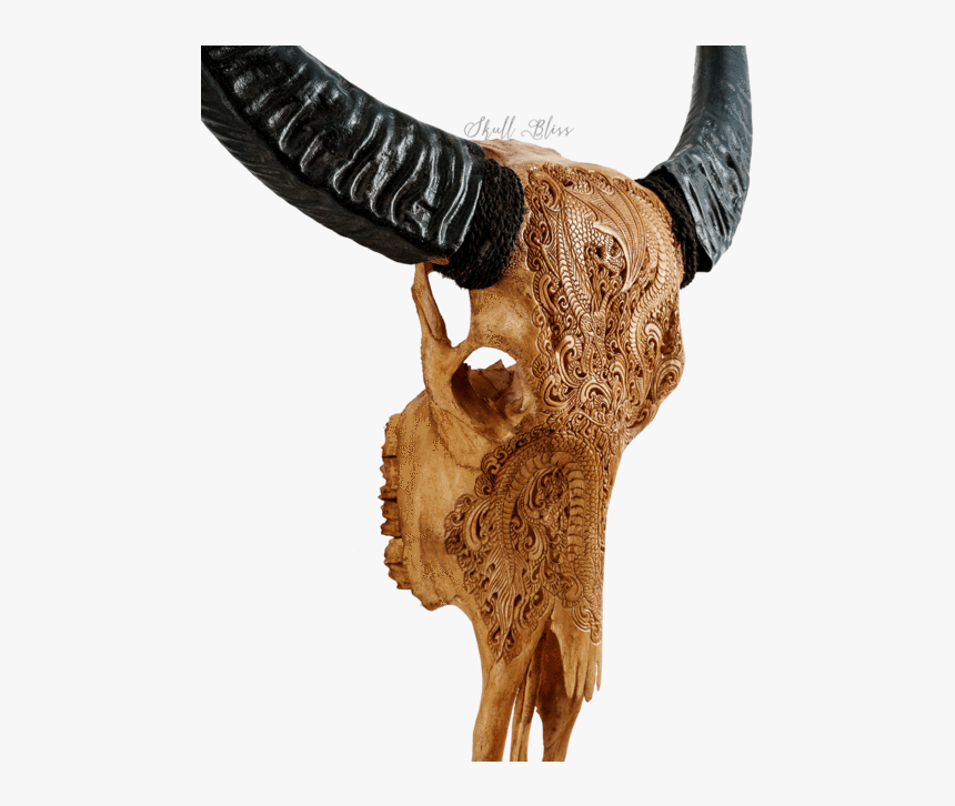 Skull Variant Skull Only - Horn, HD Png Download, Free Download