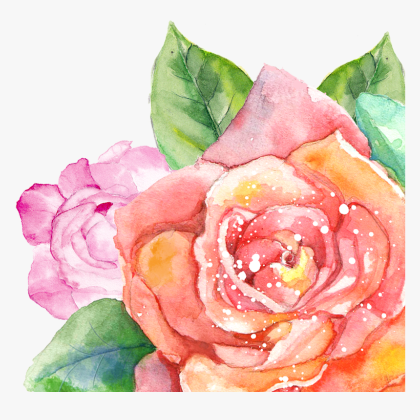 Rose Clipart Watercolor - Watercolor Summer Flowers Png, Transparent Png, Free Download