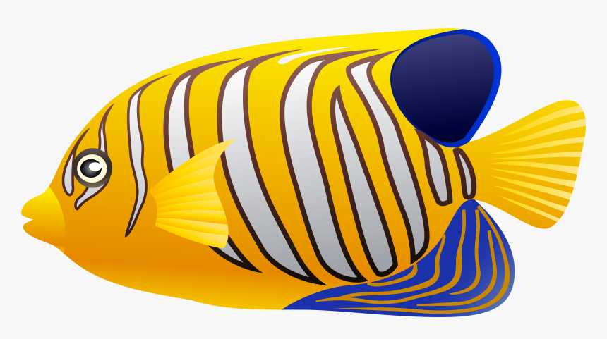 Fish Cliparts Yellow - Coral Reef Fish Fish Clipart, HD Png Download, Free Download