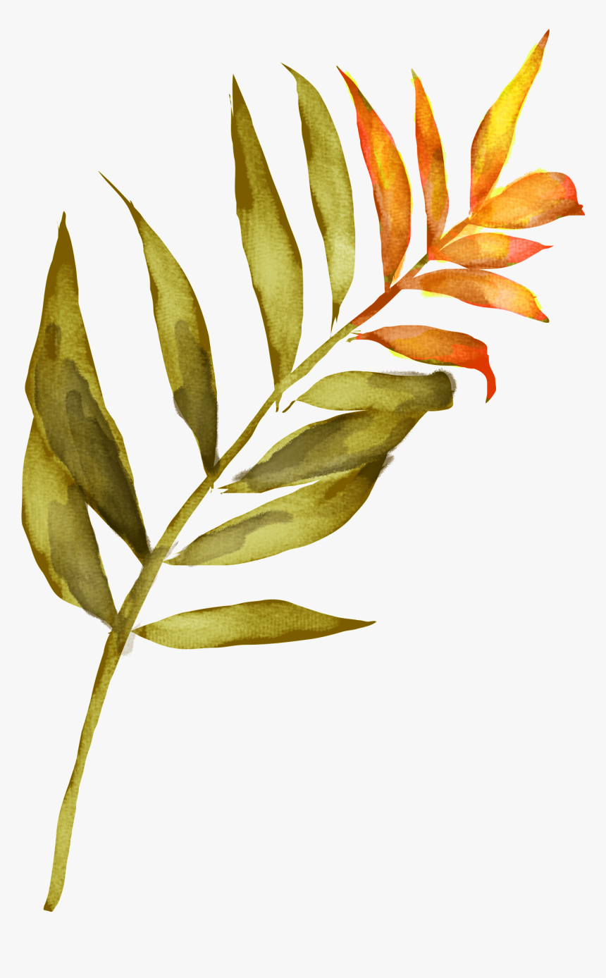 Watercolor Leaf Png -floral Watercolor, Watercolour, - Card Hawaii Watercolor, Transparent Png, Free Download