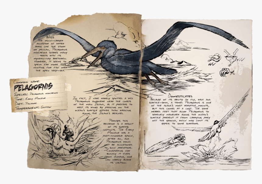 Ark Dino Dossier Pelagornis, HD Png Download, Free Download