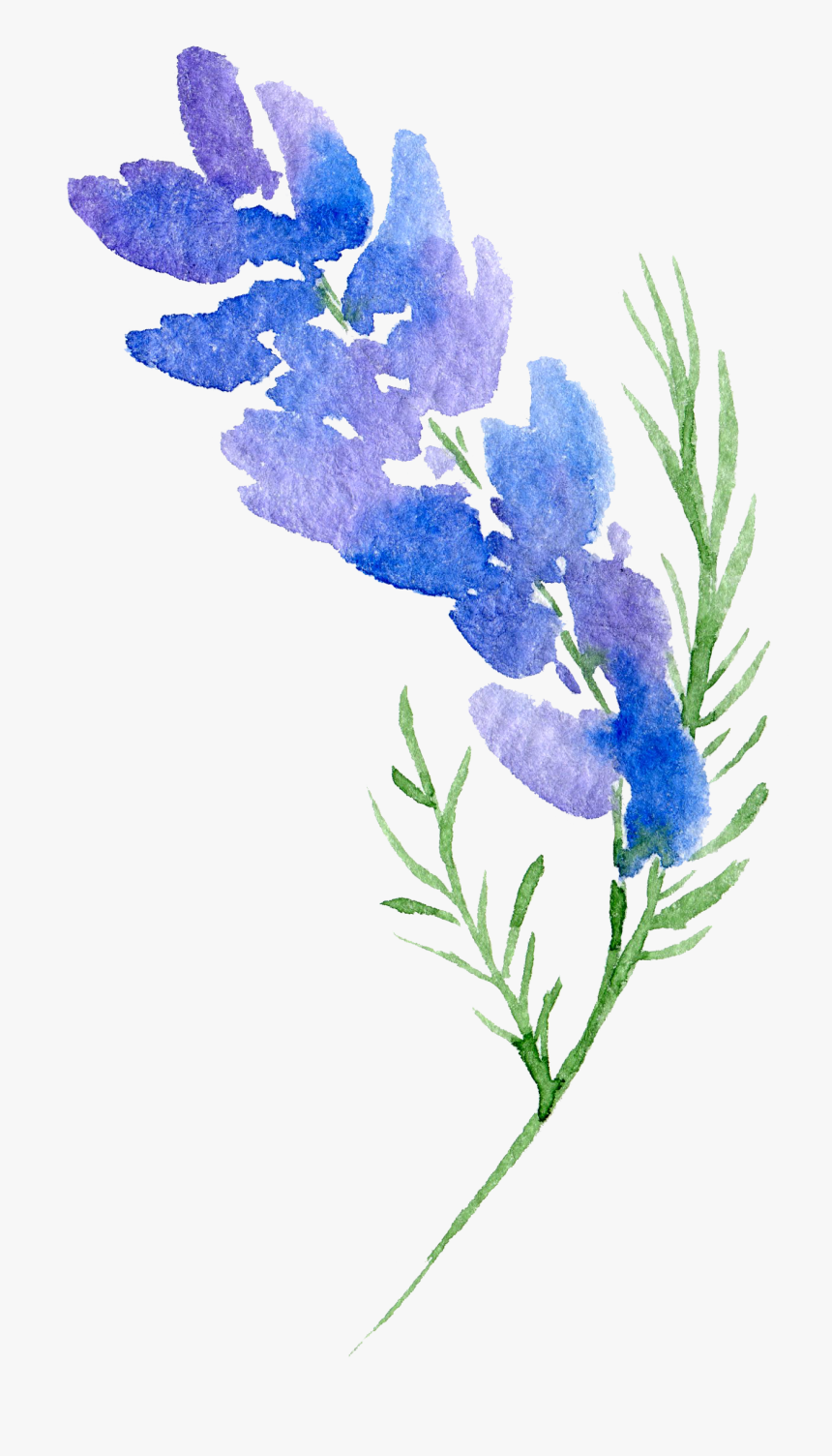 Floral Design Flower Watercolor Painting - Transparent Background Flower Png, Png Download, Free Download