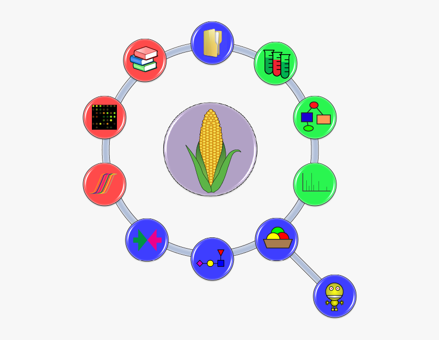 Grits Modules - Circle - Circle, HD Png Download, Free Download