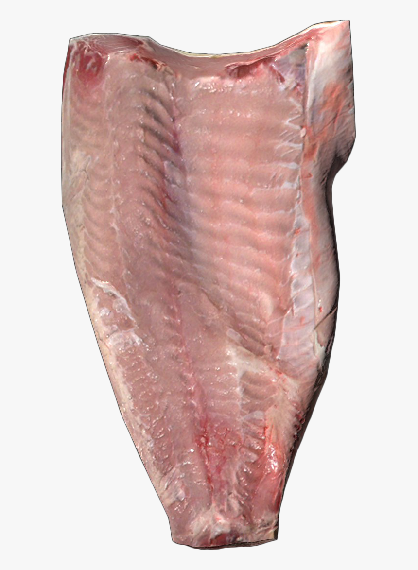 Rawfillet - Fish, HD Png Download, Free Download