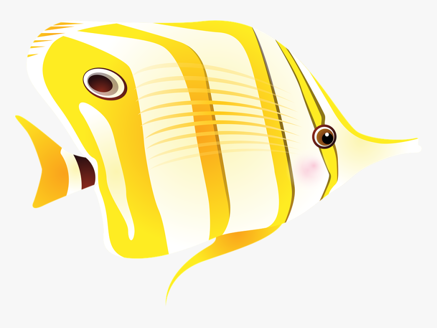 Tropical Fish With Long Nose, HD Png Download, Free Download