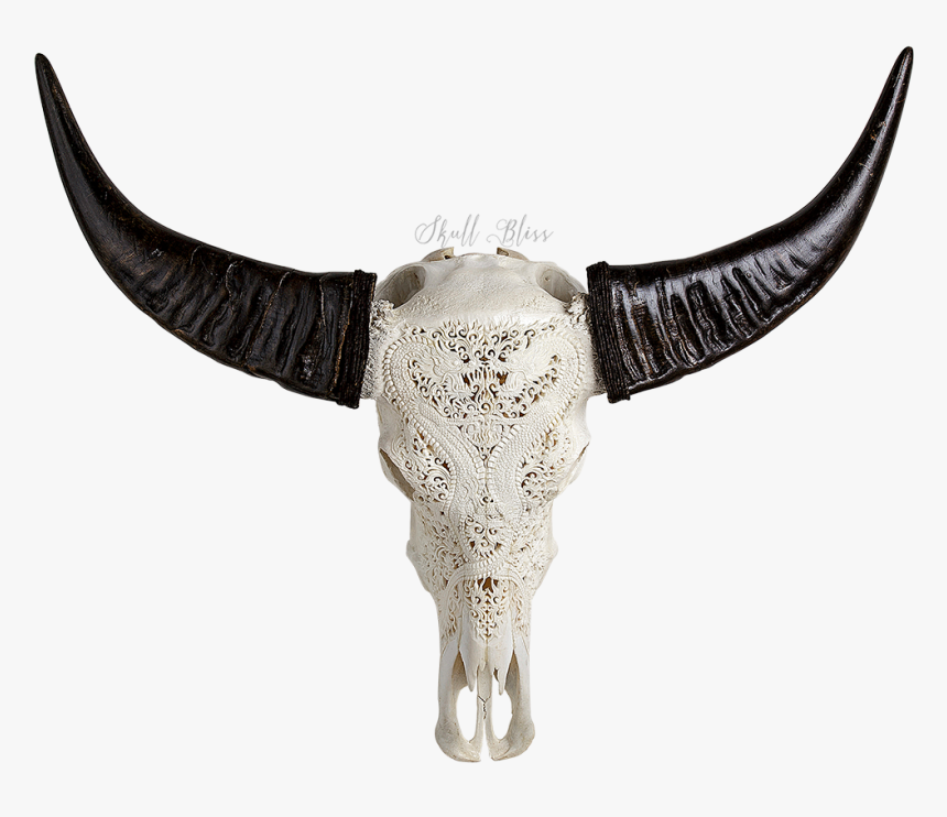 Buffalo Skull Png, Transparent Png, Free Download