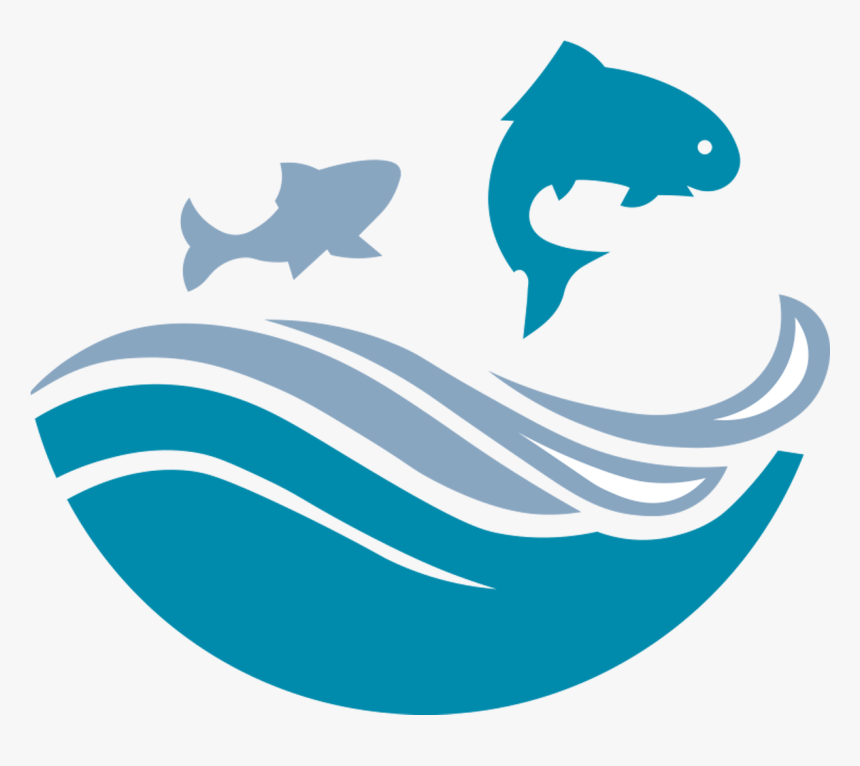 Shark, HD Png Download, Free Download