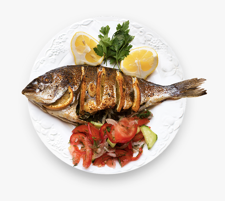 Sea Bass, HD Png Download, Free Download