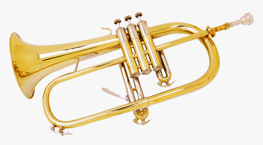 Trumpet Png - Transparent Background Trumpet Gif, Png Download, Free Download