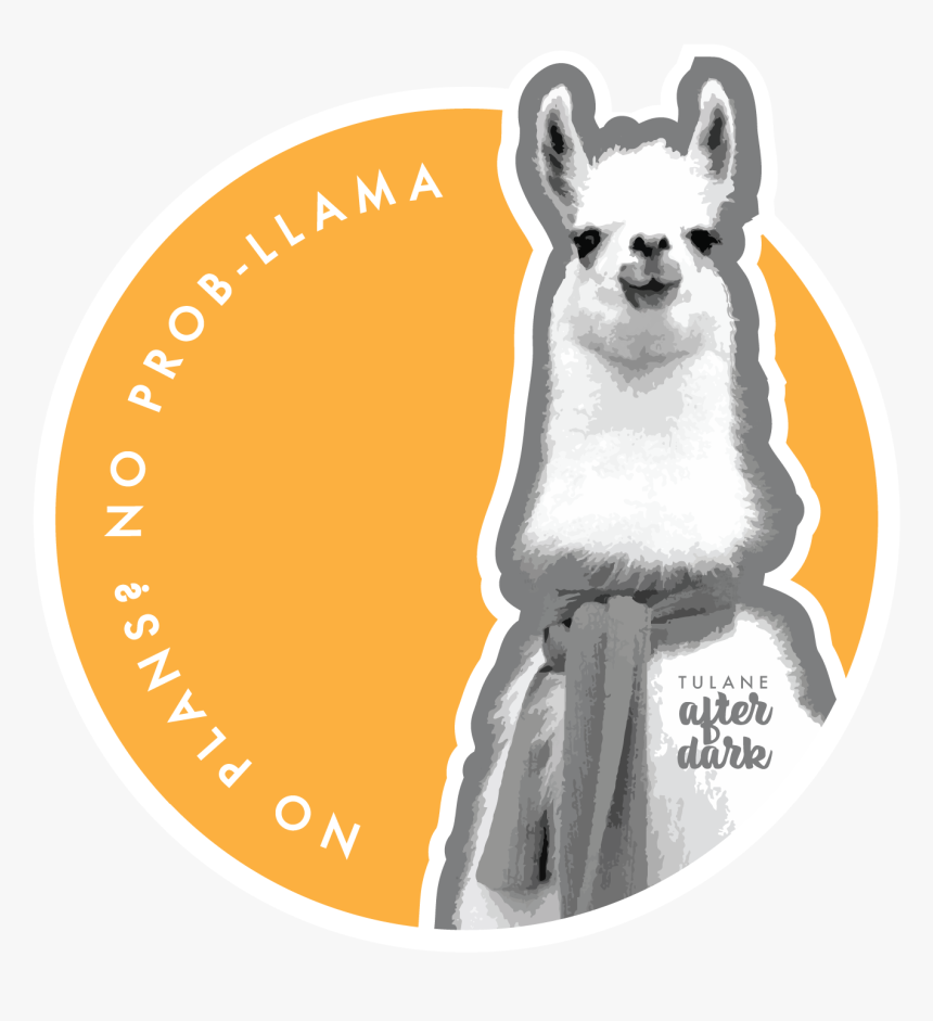 Alpaca With A Scarf, HD Png Download, Free Download
