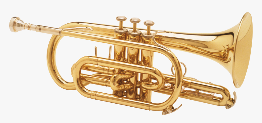Trumpet Png, Transparent Png, Free Download