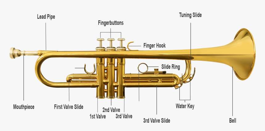 Trumpet Parts - Transparent Background Trumpet Png, Png Download, Free Download