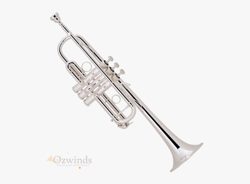 Bach Stradivarius "chicago\ - Earrings, HD Png Download, Free Download