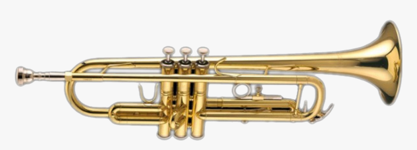 Gold Trumpet Png Clipart - Instrument And Their Family, Transparent Png, Free Download