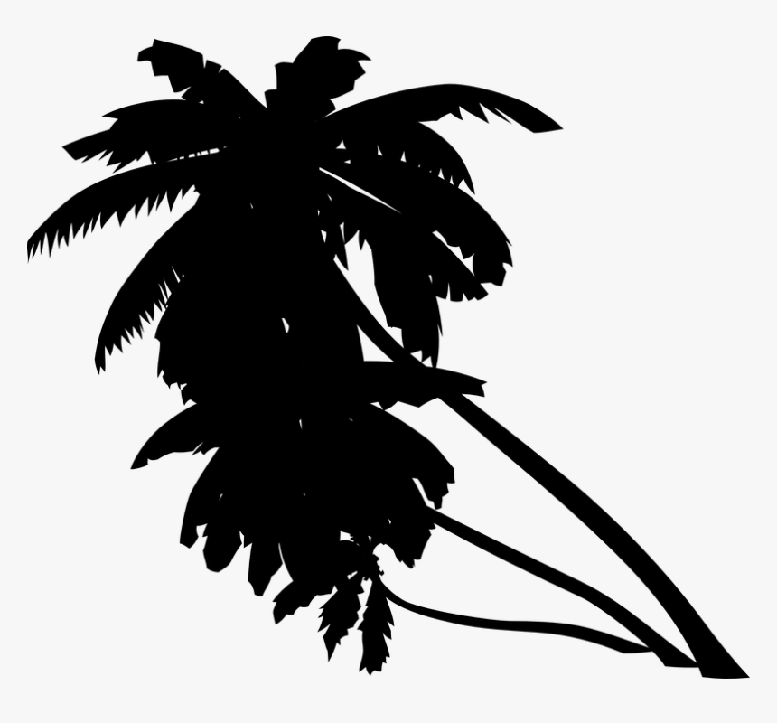 Transparent Orange Palm Trees, HD Png Download, Free Download