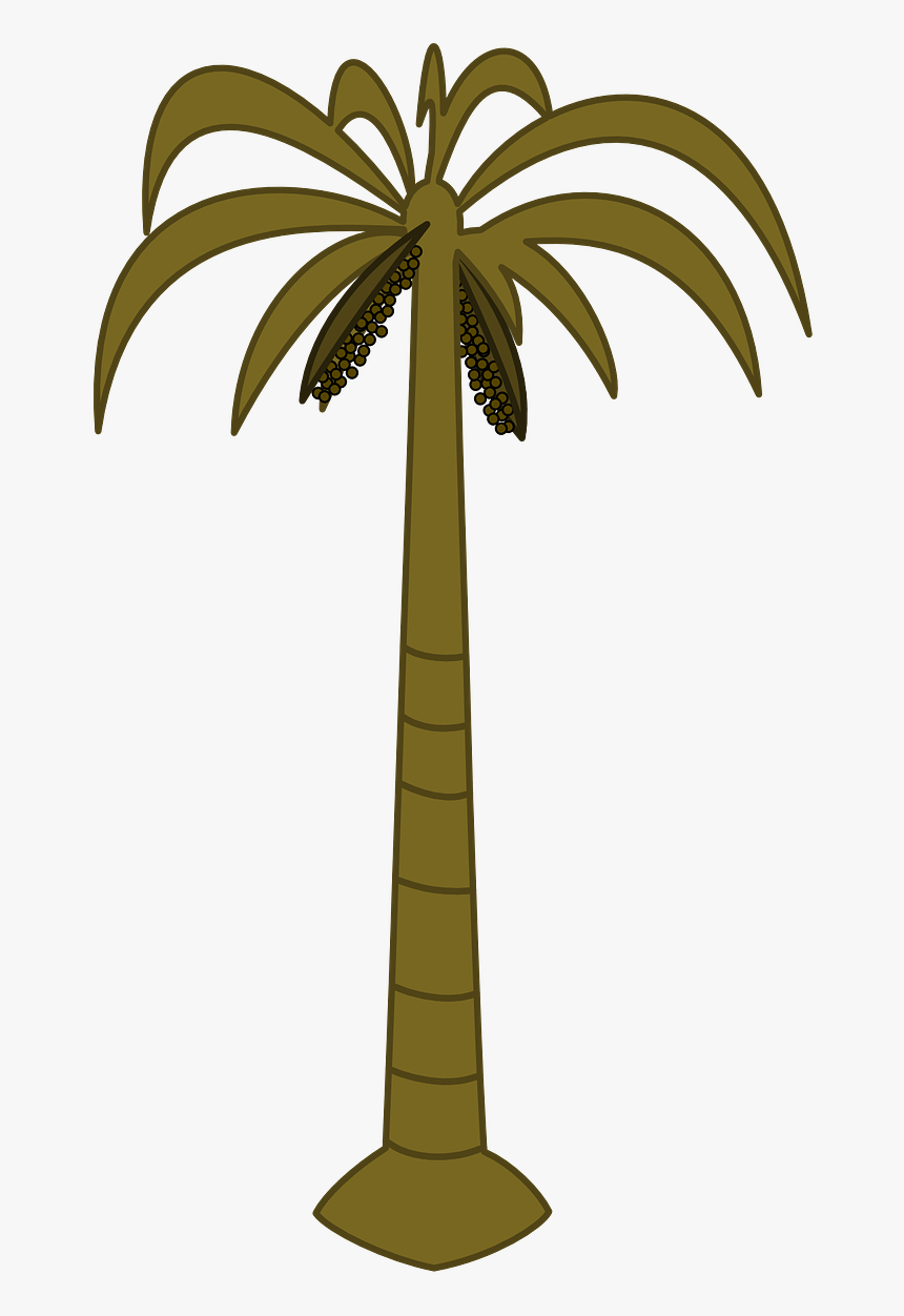 Coconut Palm Tree Drawing, HD Png Download, Free Download