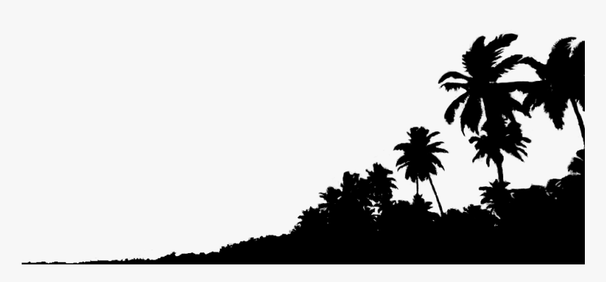 Tree,sky,black,palm Plant,plant,black And Flabellifer,coconut,date - Goa Png, Transparent Png, Free Download