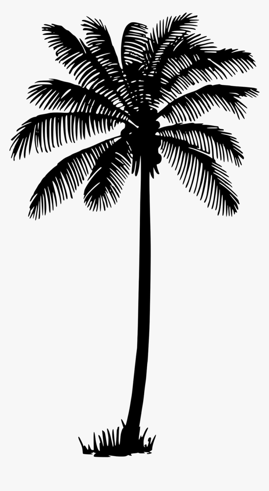 palm tree vector png