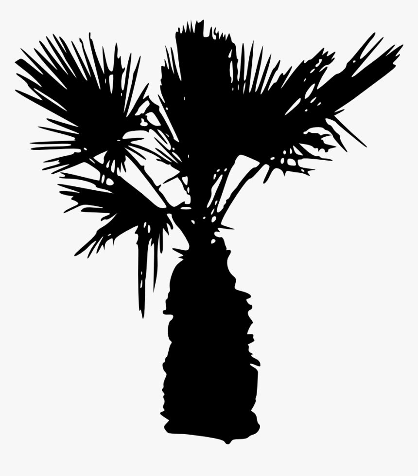 Transparent Palm Trees Clipart - Palm Tree Silhouettes Png, Png Download, Free Download