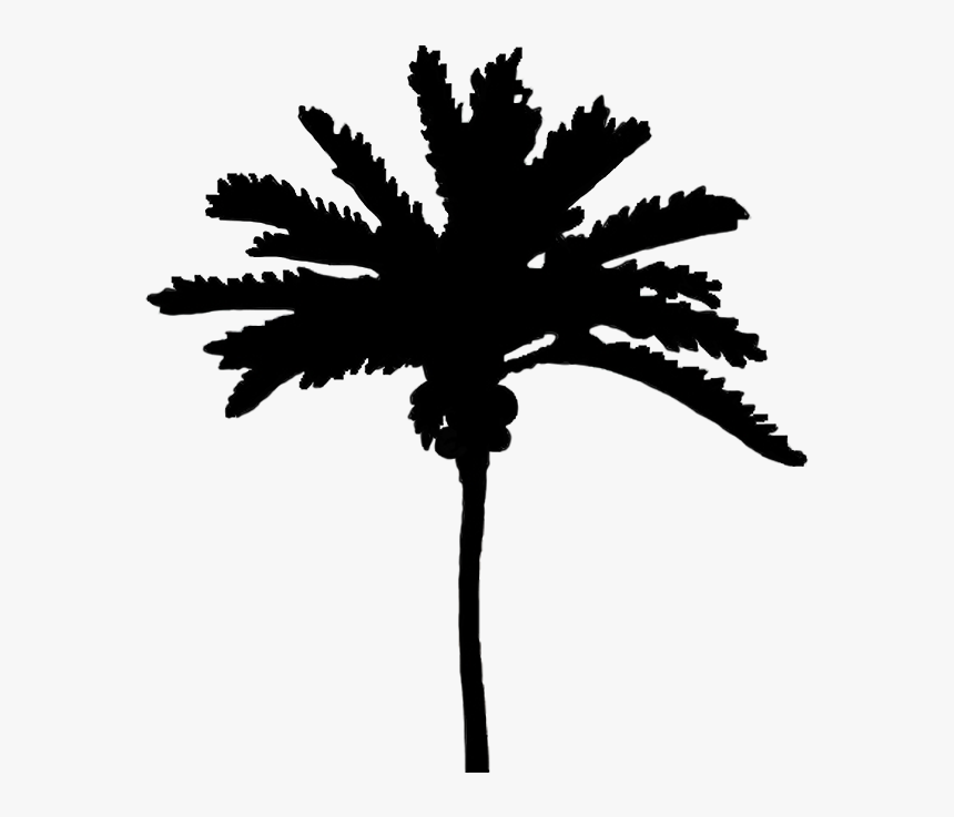 Silhouettes Of Palm Trees Png - Silhouette, Transparent Png, Free Download