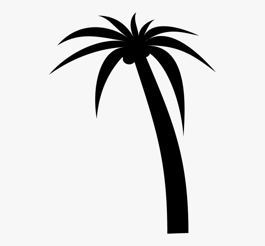 Vector Palm Tree Png - Palm Tree Clip Art Vector, Transparent Png, Free Download
