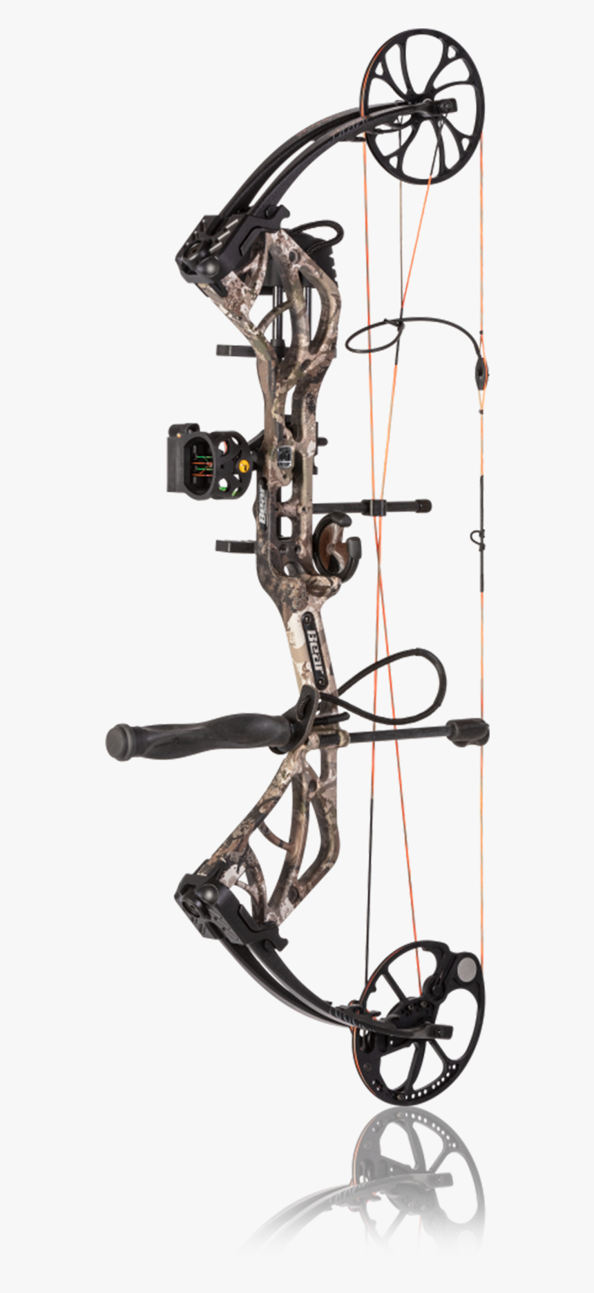 Glauber"s Sports Carrollton, Ky Crossbows - Bear Species Compound Bow, HD Png Download, Free Download