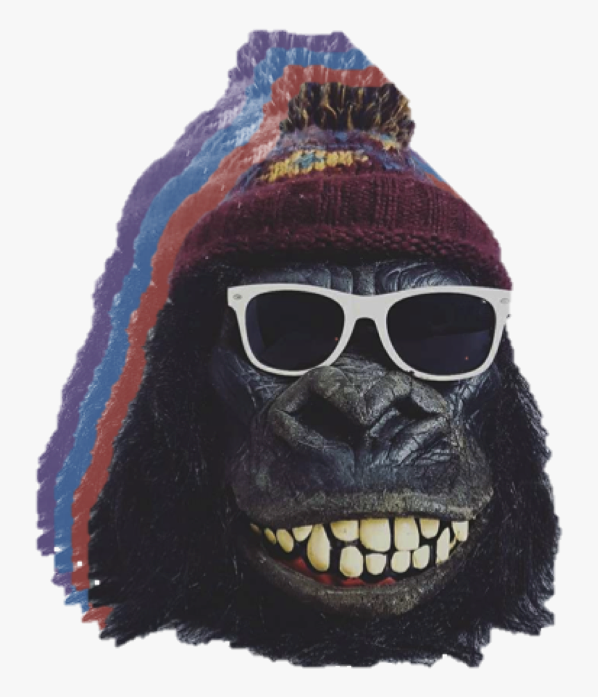 Jack"s Record Shack - Monkey, HD Png Download, Free Download