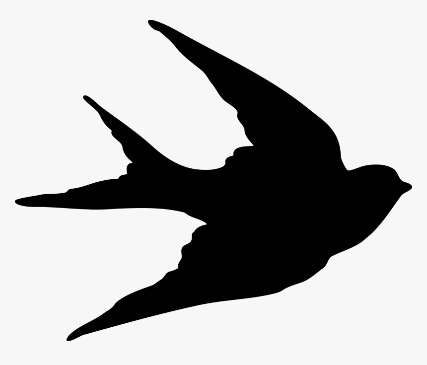 Bird Sparrow Swallow Silhouette Clip Art - Silhouette Free Bird, HD Png Download, Free Download