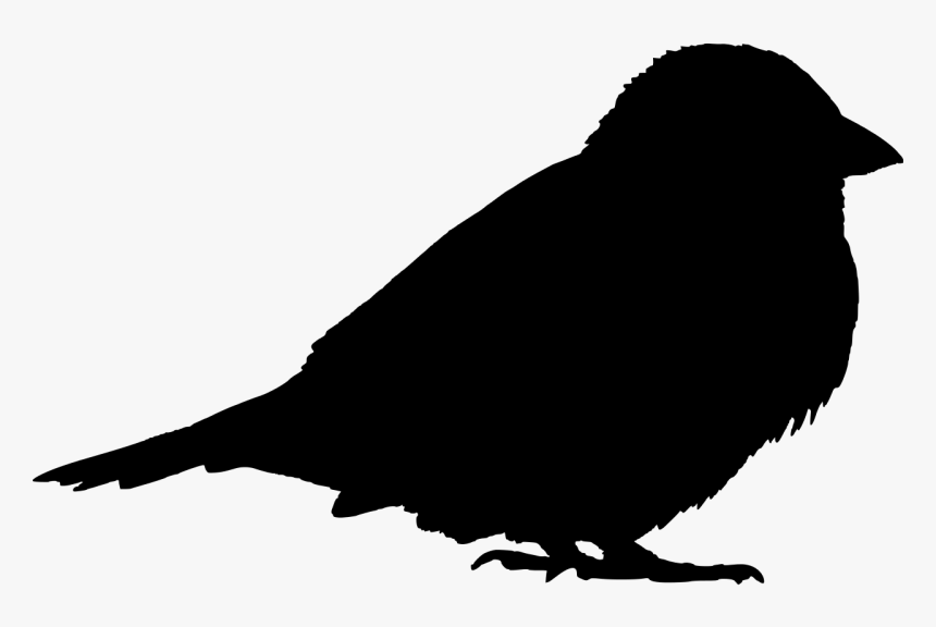 Sparrow Silhouette, HD Png Download, Free Download