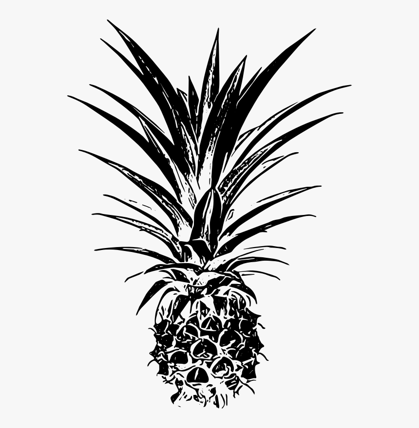 Transparent Pineapple Clipart Black And White - Palm Tree Leaf Png Black, Png Download, Free Download