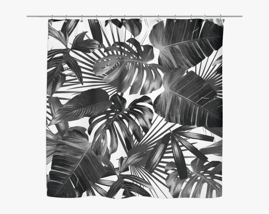 Wild Palm Shower Curtain - Plant Black And White, HD Png Download, Free Download