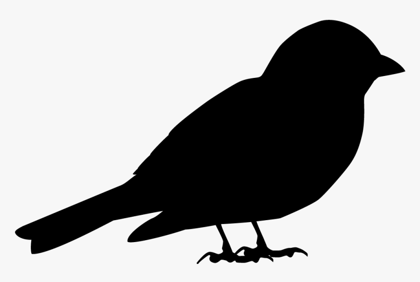 House Sparrow Bird American Crow Song Sparrow - Transparent Sparrow Clip Art, HD Png Download, Free Download