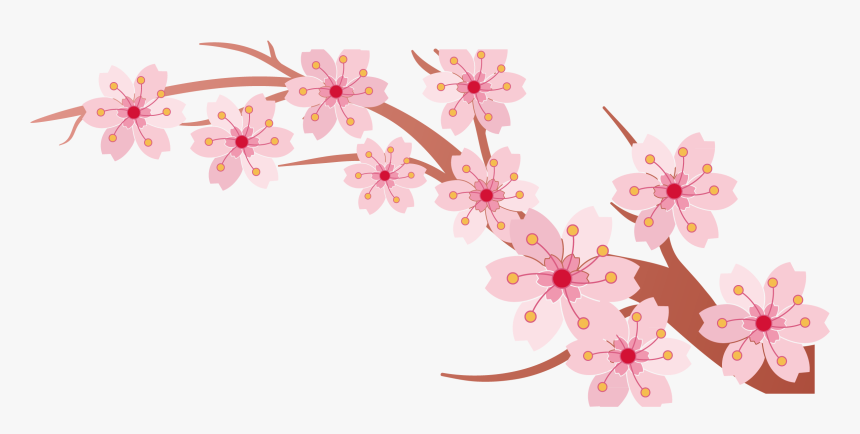 Persimmon Clip Art Painted - Cherry Blossoms Clip Art, HD Png Download, Free Download