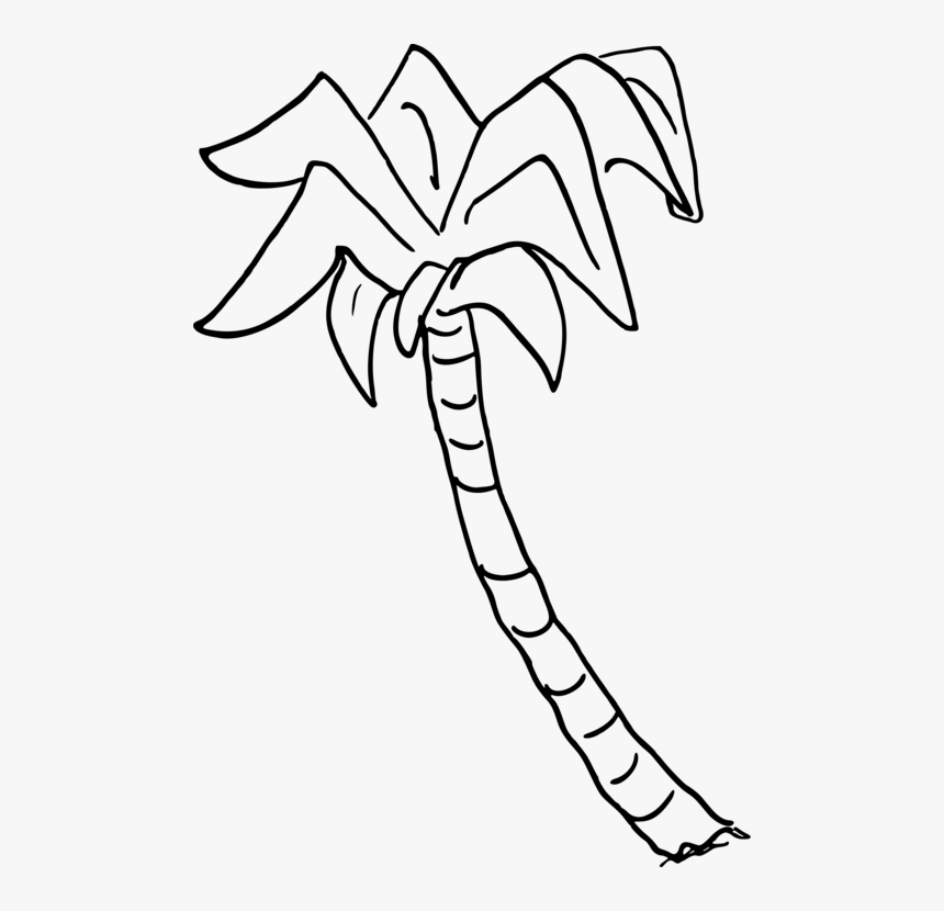 Palm Tree Png Book - Palm Tree Drawing Transparent, Png Download, Free Download