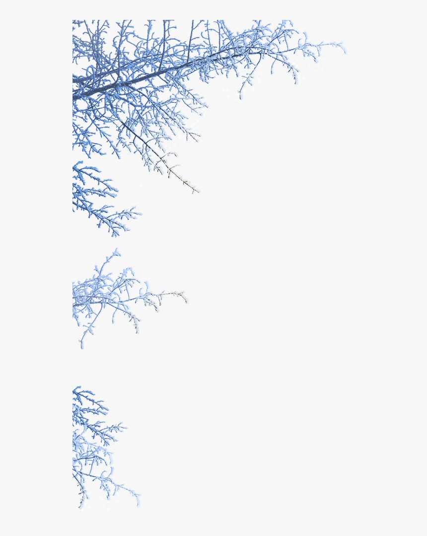 Transparent Winterwonderland Clipart - Winter Wonderland Frame Png, Png Download, Free Download