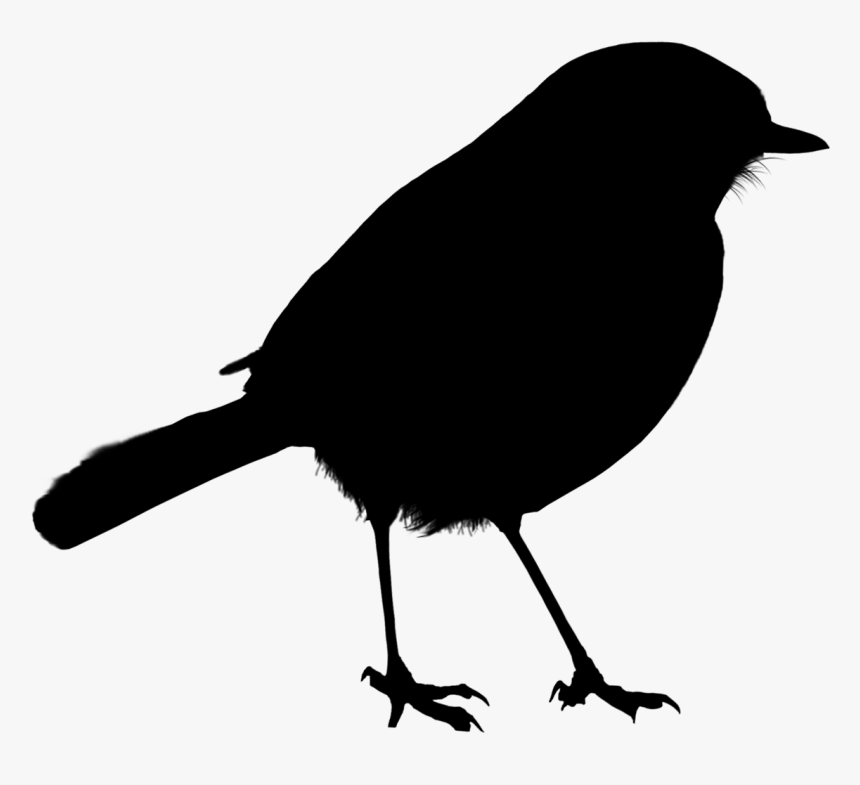 Bird Silhouette - Transparent Background Bird Silhouette, HD Png Download, Free Download
