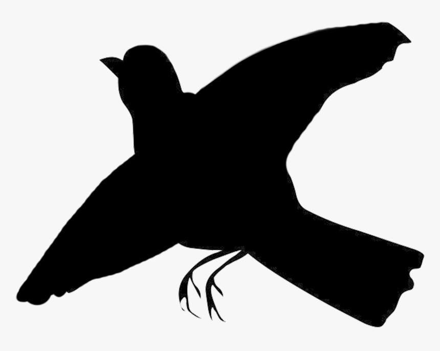 Black Bird Silhouette Flying Clipart - Robin Bird Flying Silhouette, HD Png Download, Free Download