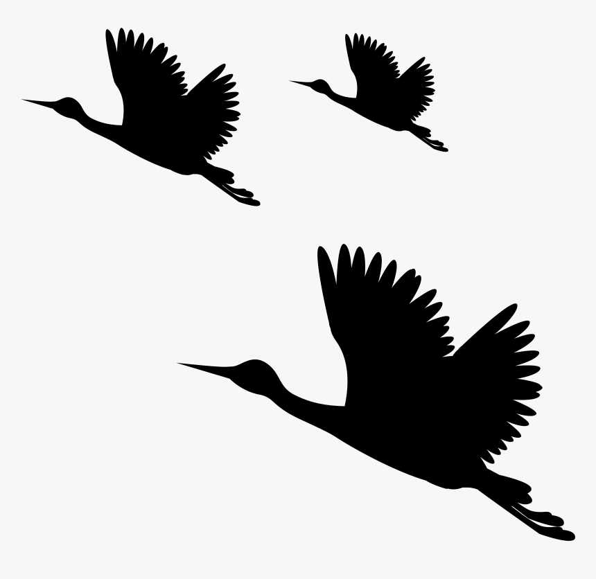 Transparent Sparrow Silhouette Png - Full Hd Png Images For Editing, Png Download, Free Download