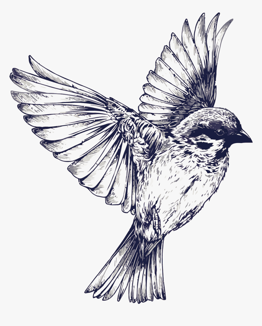 Bird Flight Tattoo Drawing Swallow - Black And White Bird Tattoo, HD Png Download, Free Download