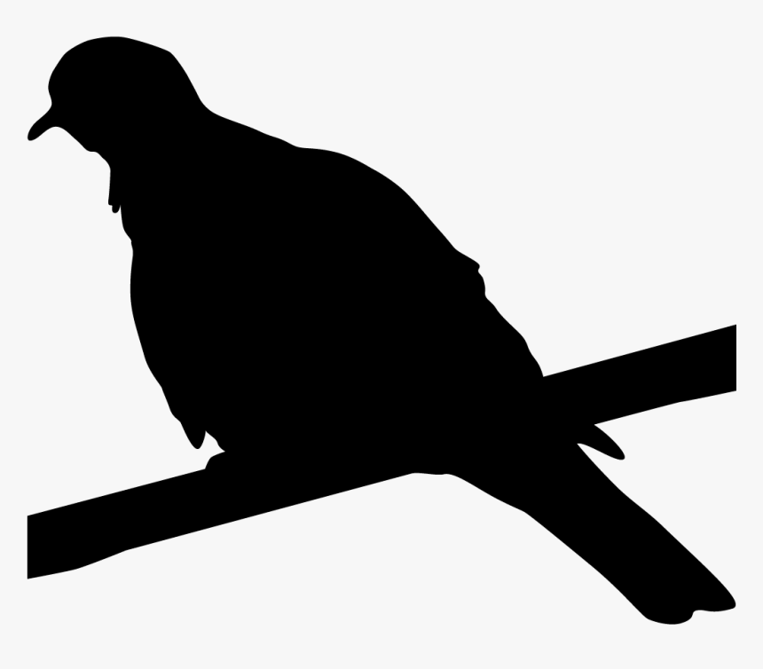 Blackbirds Browse By Shape All About Birds - Black White Wing Dove, HD Png Download, Free Download